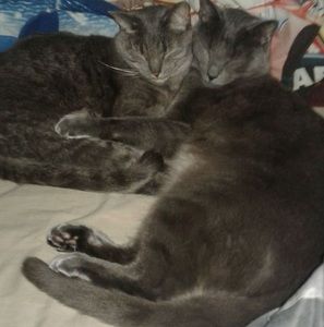 Meet your Posher, Ben